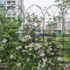 2 Pack Metal Garden Trellis 78.7" x 19.7" Rustproof Trellis for Climbing Plants Outdoor Flower Support Black