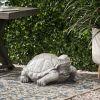 TURTLE DECOR, Outdoor Turtle Statue, Dark Gray, No Assembly Required