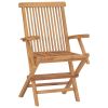 Garden Chair Set of 2 Teak Teak wood Standard Collapsible