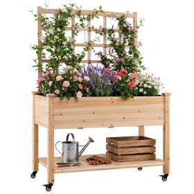 47" Raised Garden Bed with Trellis & Rolling Wheels, Mobile Fir Wood Planter Box for Climbing Plants