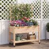 47" Raised Garden Bed with Trellis & Rolling Wheels, Mobile Fir Wood Planter Box for Climbing Plants