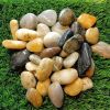 Polished Pebble Gravels, Natural Polished Mixed - Color Stones, Small Decorative River Rocks. 1.8 - 2.6 Inch, Ideal for Flower Pots, Vases, Aquariums
